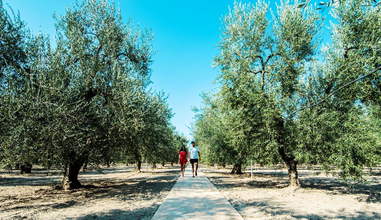 Giardino Degli Ulivi Resort Masseria マルゲリータ・ディ・サヴォイア エクステリア 写真